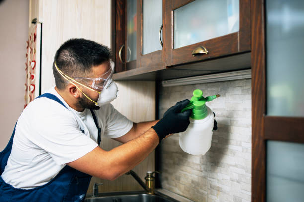 Best Affordable Exterminators  in Denver, PA