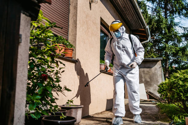 Bird Control in Denver, PA