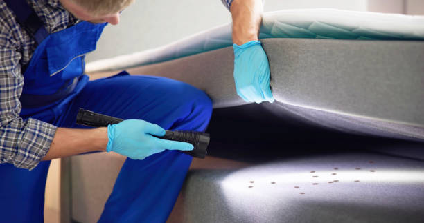 Best Commercial Pest Control Services  in Denver, PA
