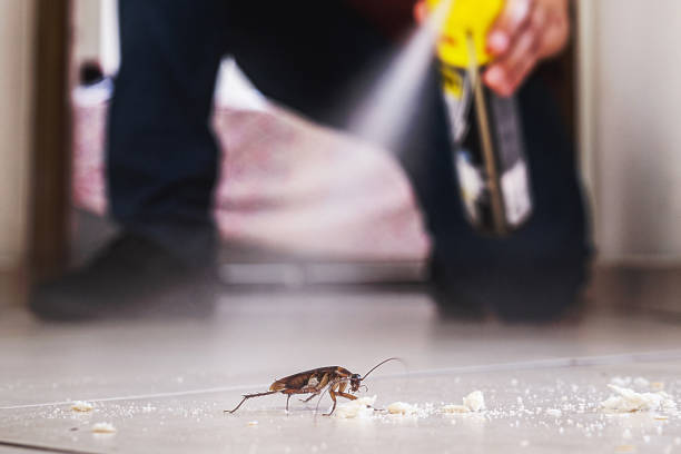 Best Pest Removal Services  in Denver, PA