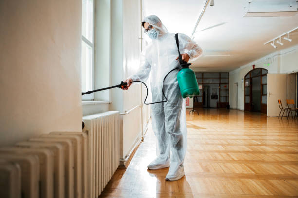 Best Termite Control Services  in Denver, PA