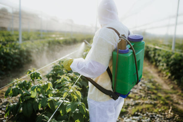 Best Best Pest Control Companies  in Denver, PA